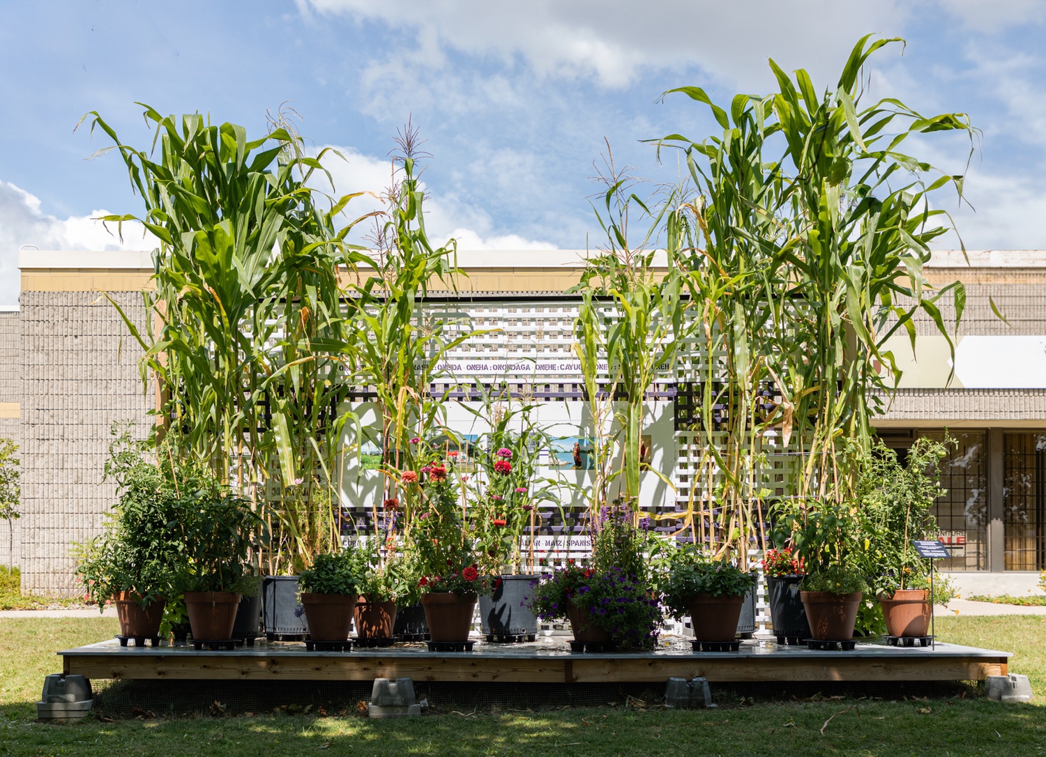 Corn = Life: The Power of Naming
