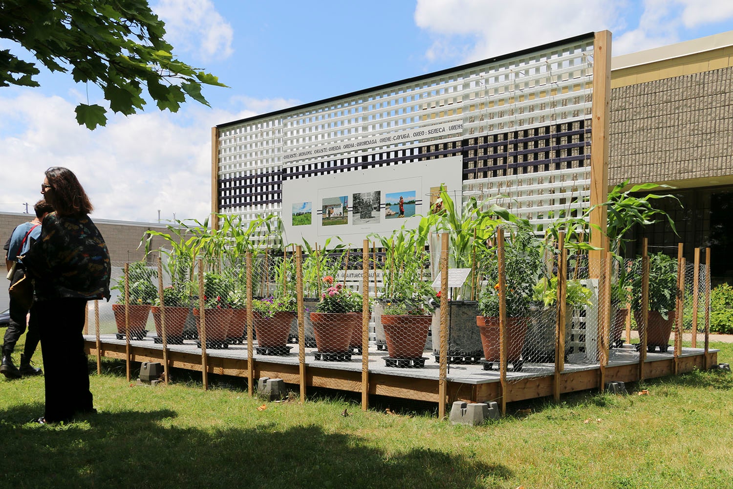 Corn = Life: The Power of Naming documentation 2