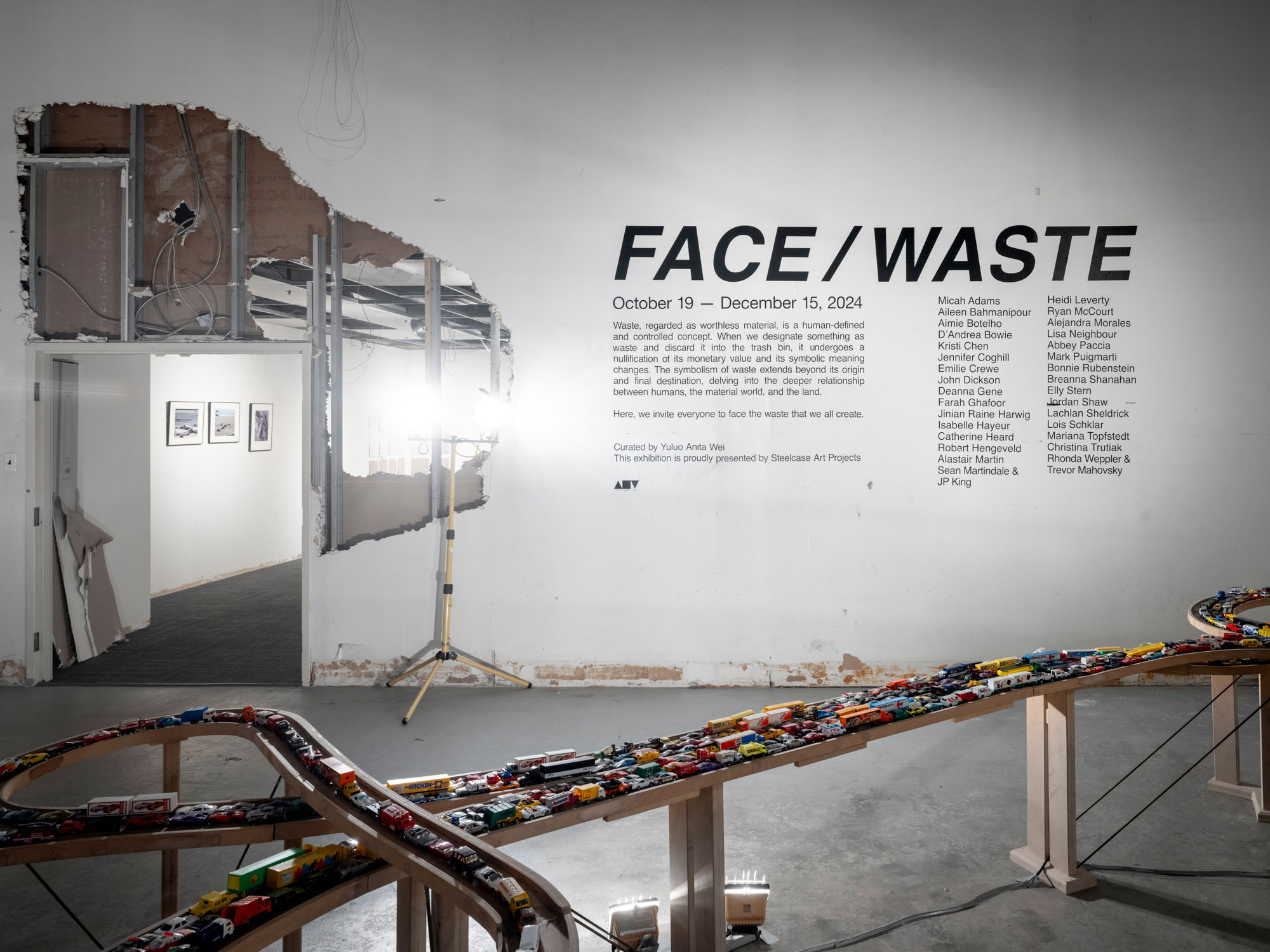 FACE / WASTE installation view