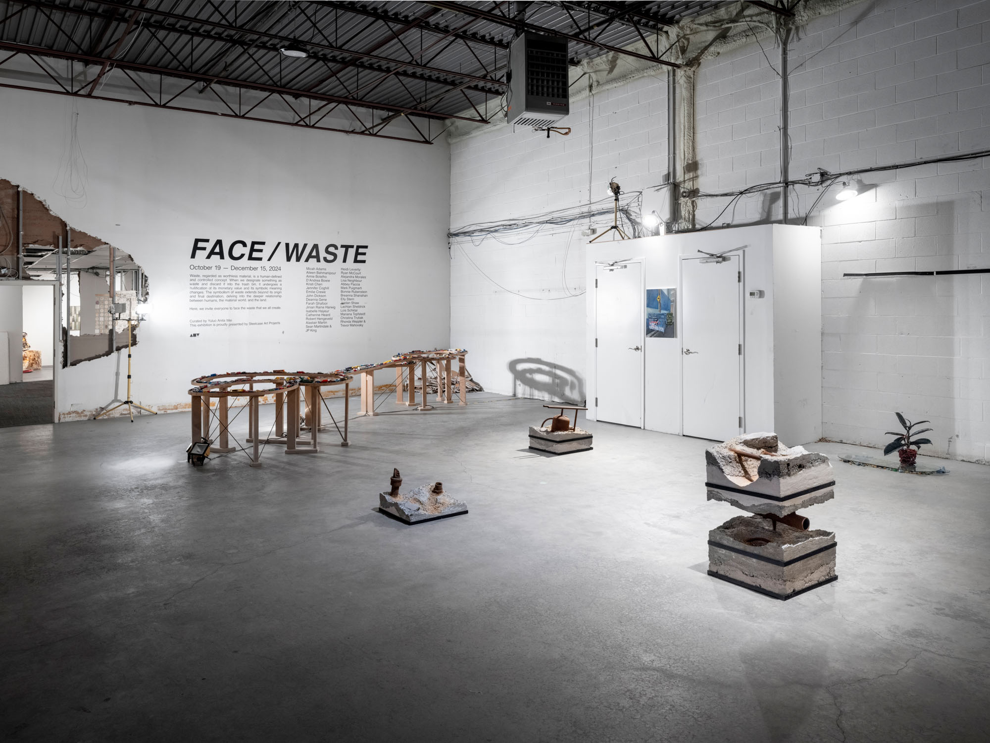 FACE / WASTE documentation 4