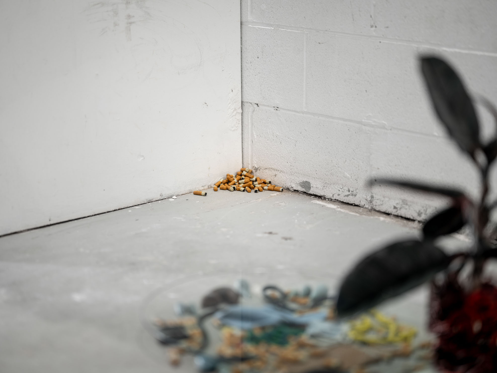 FACE / WASTE documentation 13