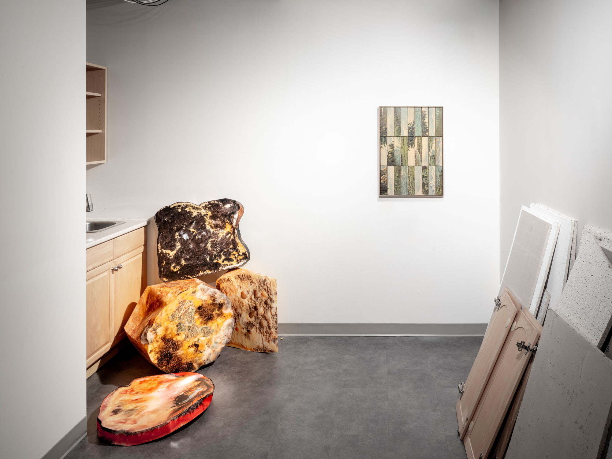 FACE / WASTE documentation 30