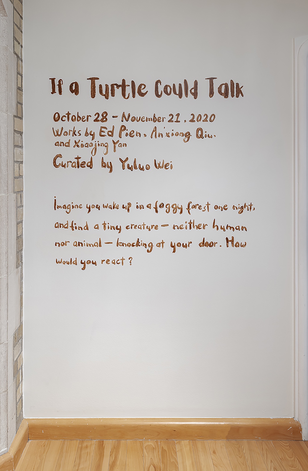 If a Turtle Could Talk documentation 14