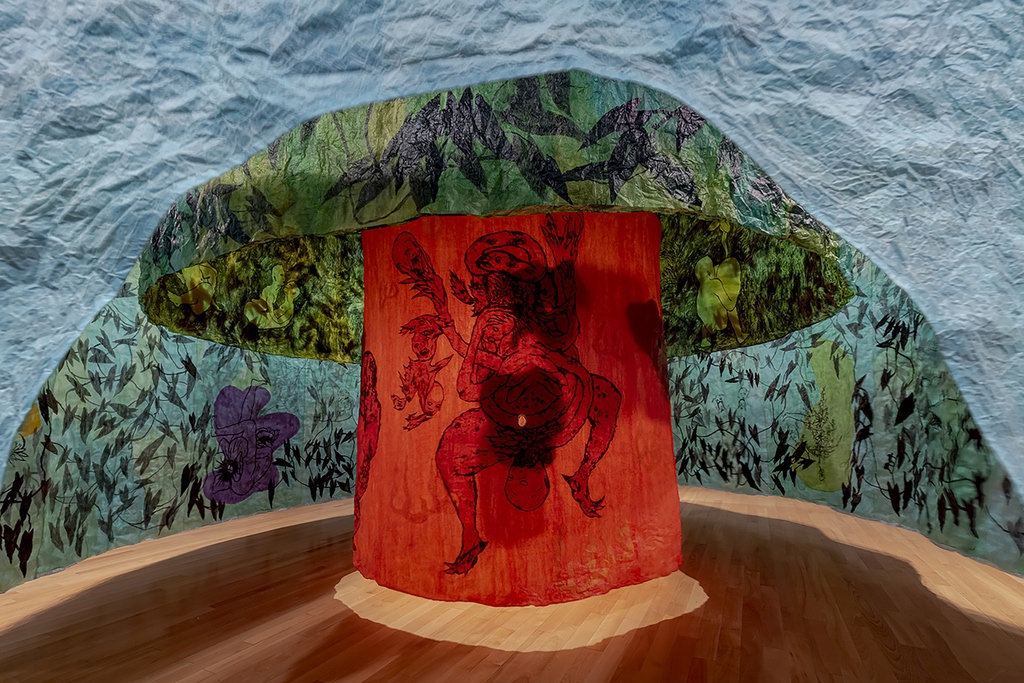 If a Turtle Could Talk installation view