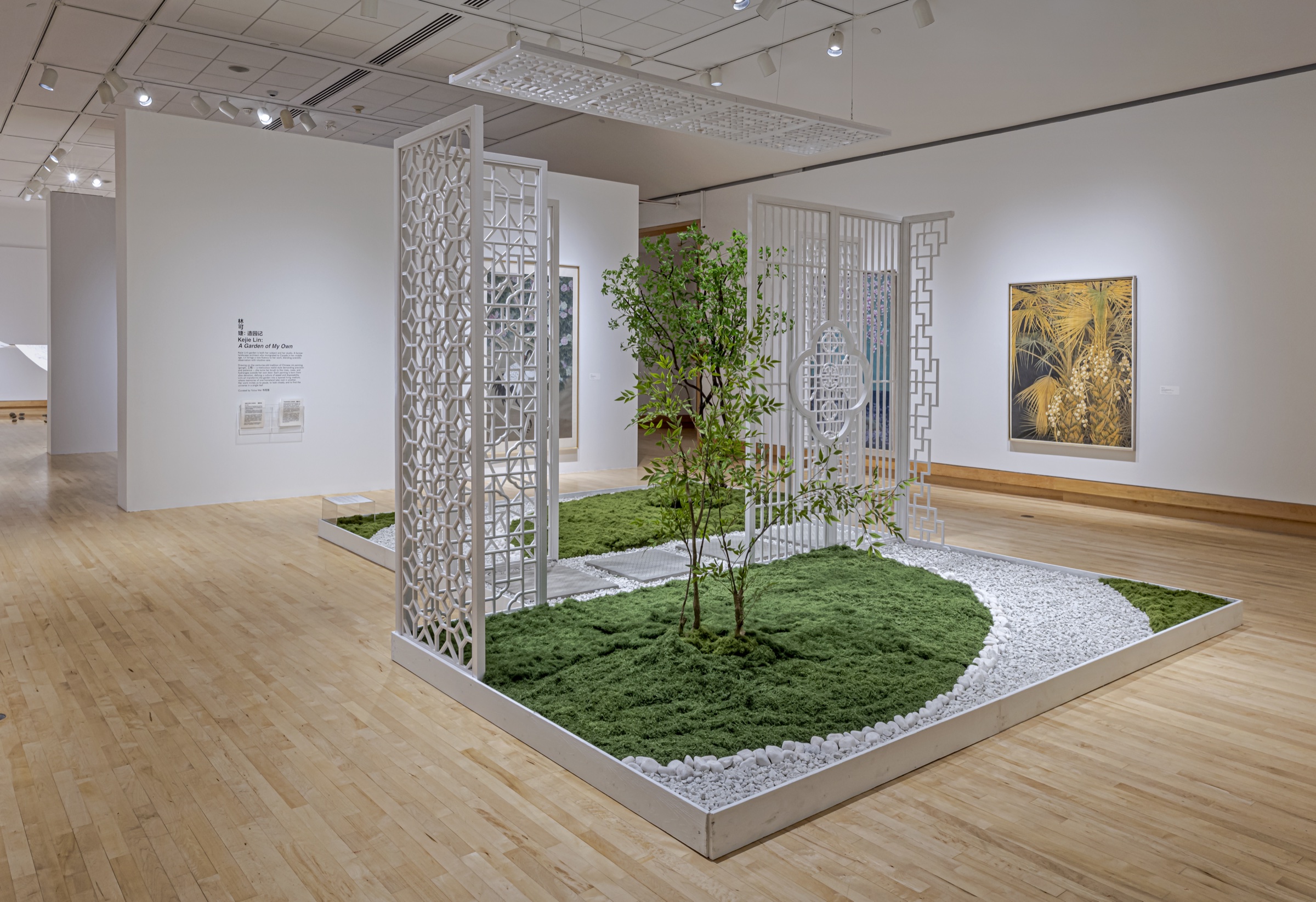 Kejie Lin: A Garden of My Own